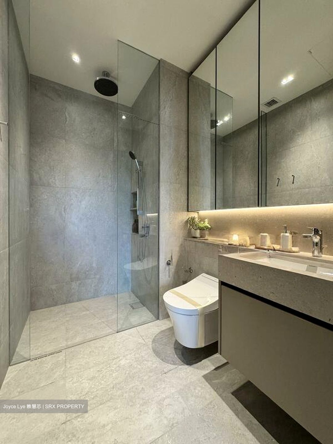 The Reserve Residences (D21), Apartment #600886351